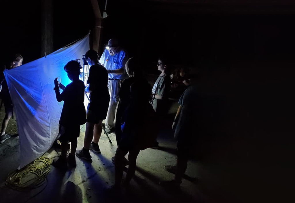 Alley Park After Dark!