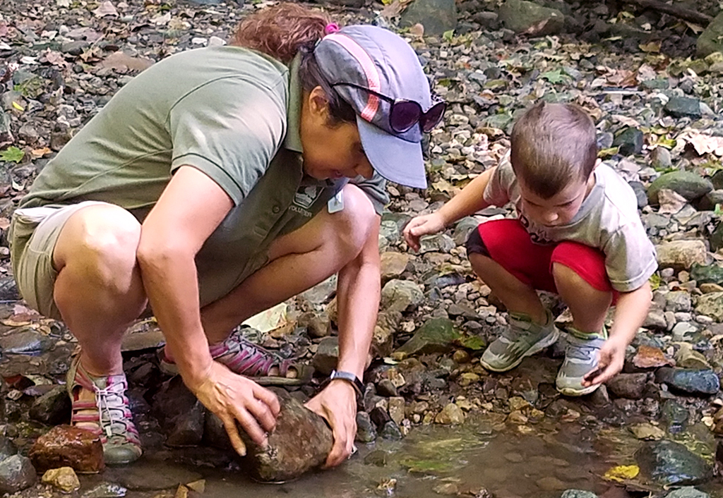 Plant and Animal Exploration at Slate Run Metro Park