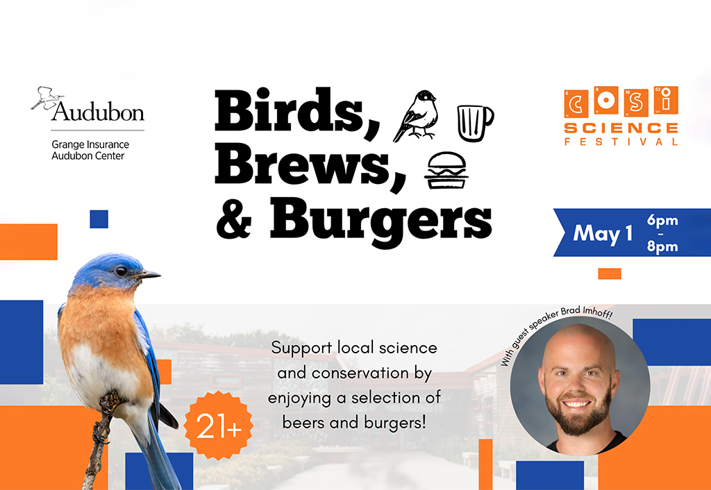 Birds, Brews, and Burgers