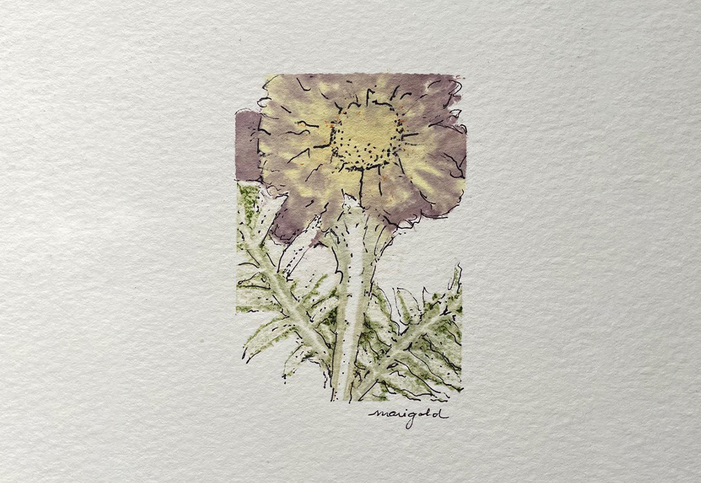 Pounded Plant Prints