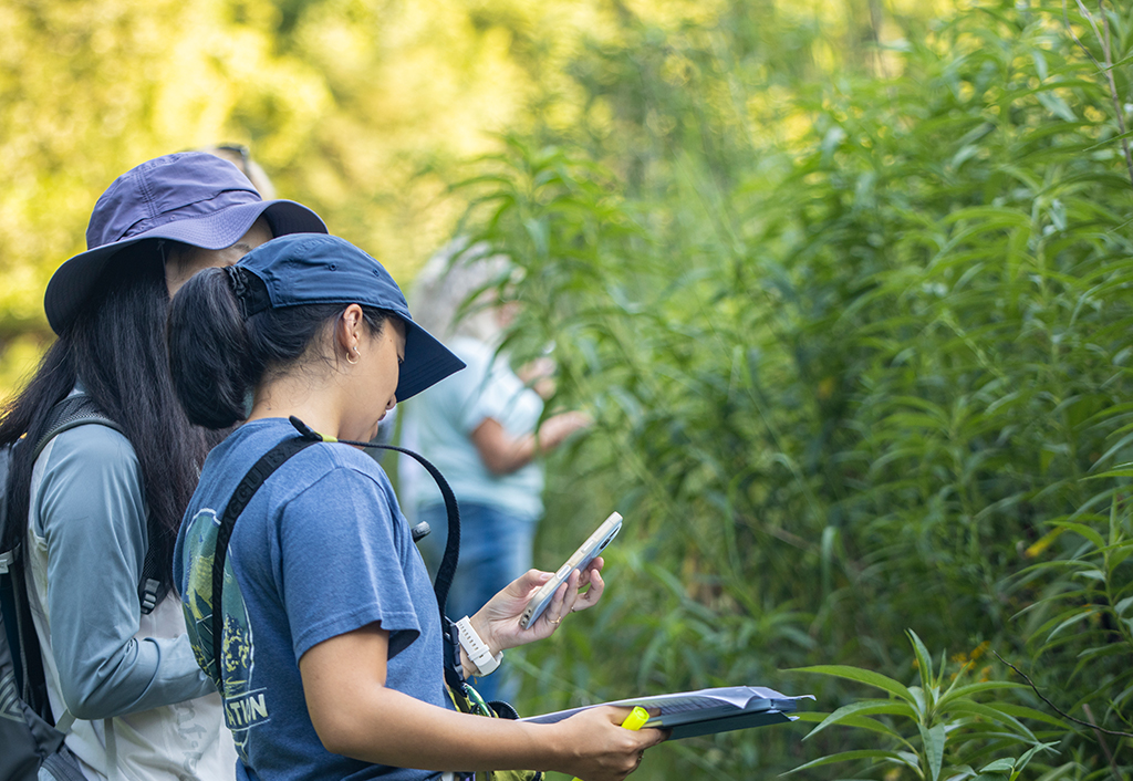 Columbus Recreation and Parks Virtual BioBlitz