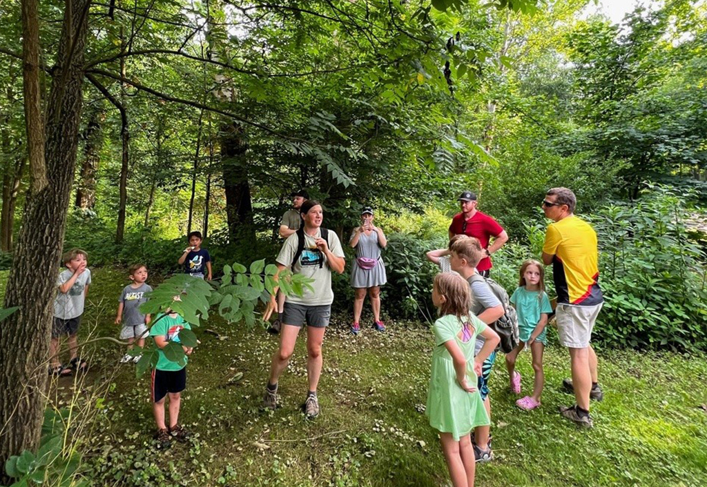 Woodland Exploration: BioBlitz at Coshocton KOA Campground